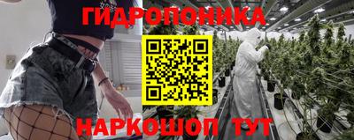 прущие крисы Комсомольск-на-Амуре