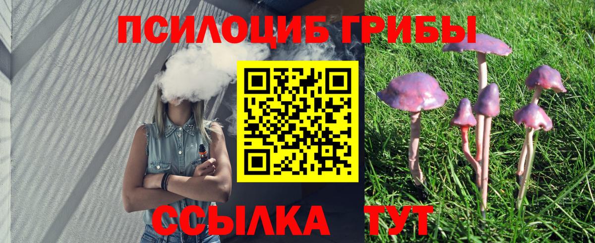 Псилоцибиновые грибы Magic Shrooms Ессентуки